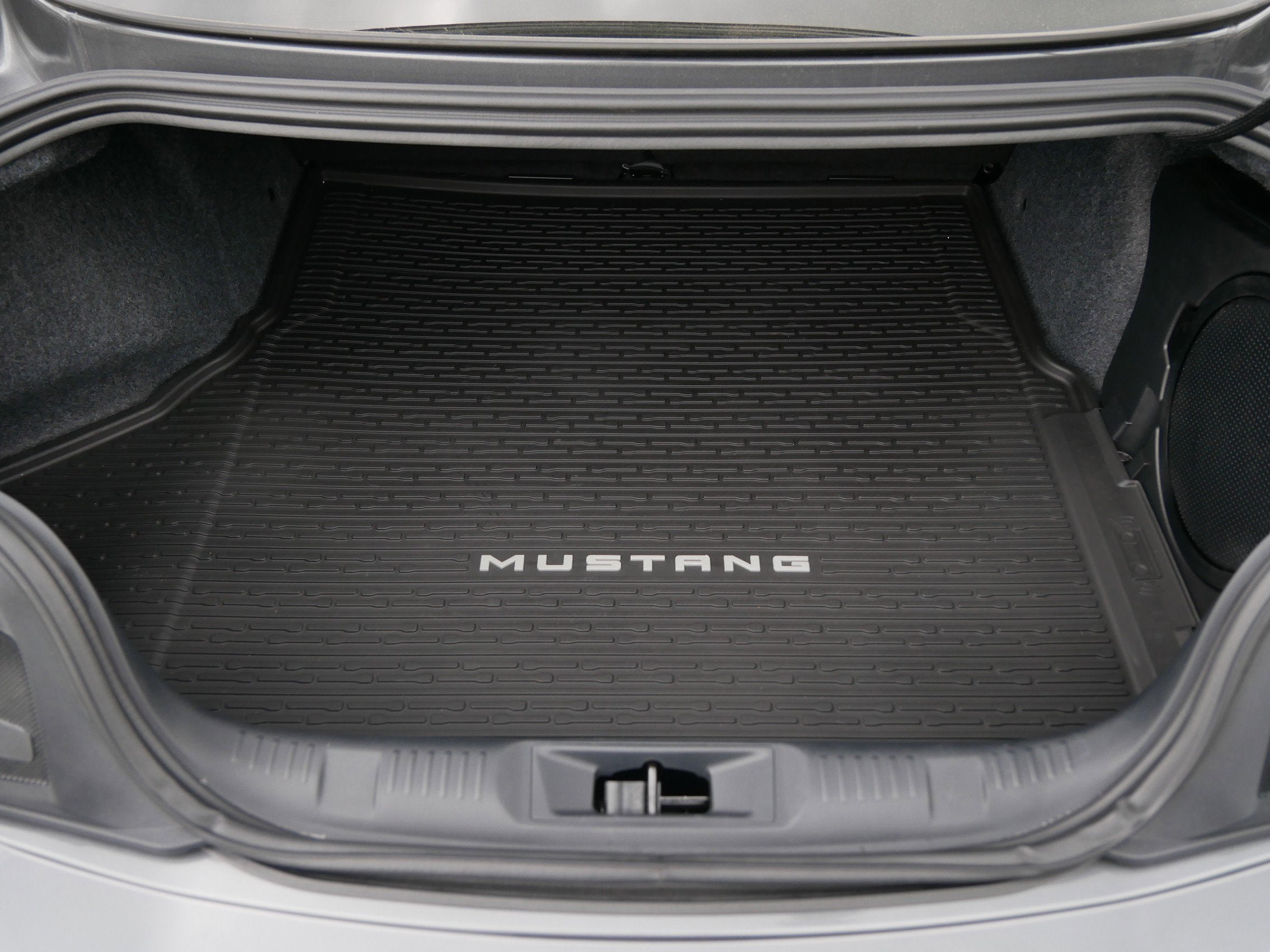 2024 Ford Mustang Dark Horse Fastback