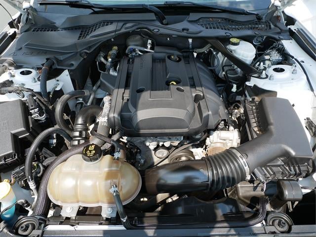 2019 Ford Mustang Base