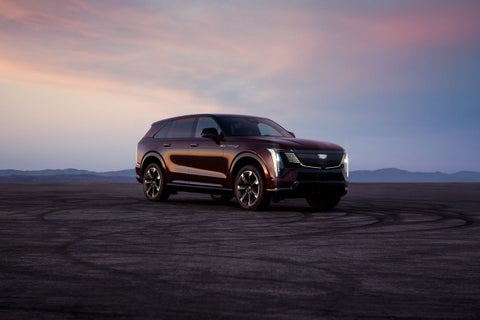  House Cadillac in OWATONNA MN